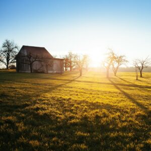 Starke Frauen mit einer Schwäche fürs Land