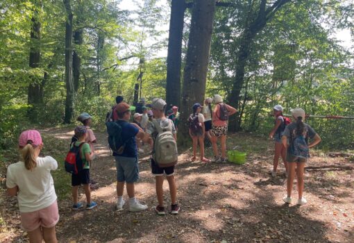Bildquelle: Kleinbottwarer LandFrauen